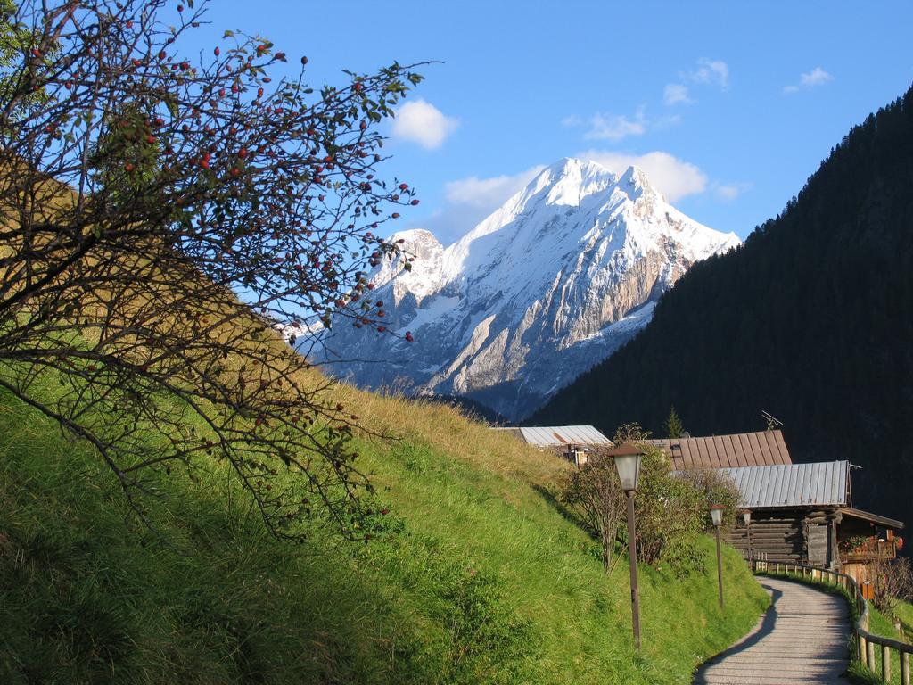 Chalet Pian Campitello di Fassa Værelse billede