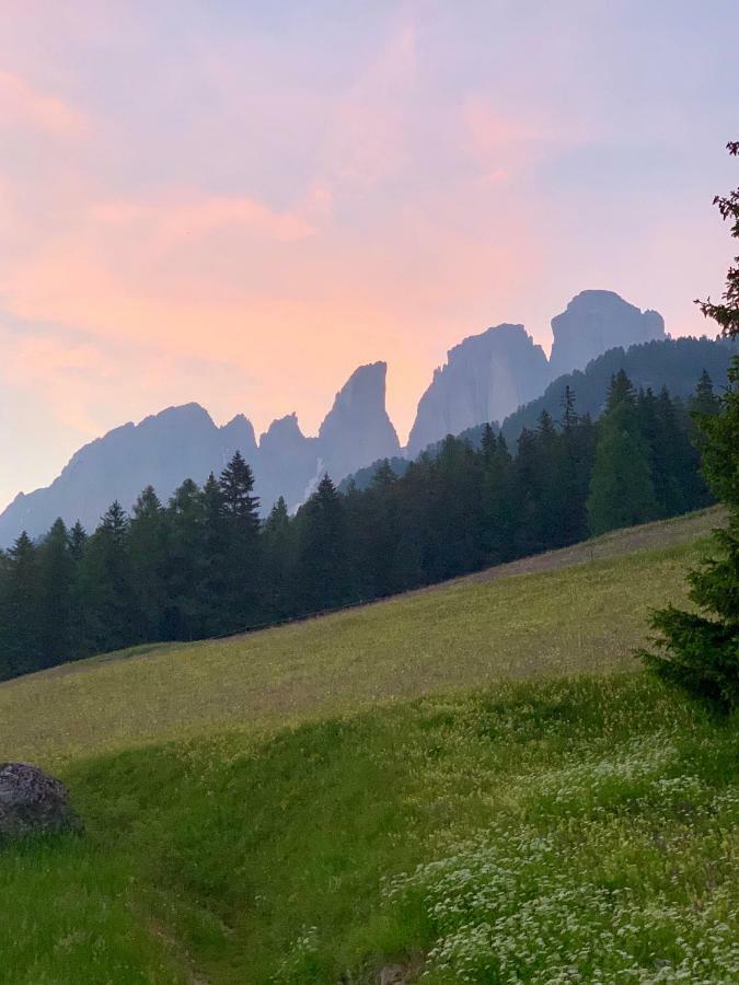 Chalet Pian Campitello di Fassa Eksteriør billede