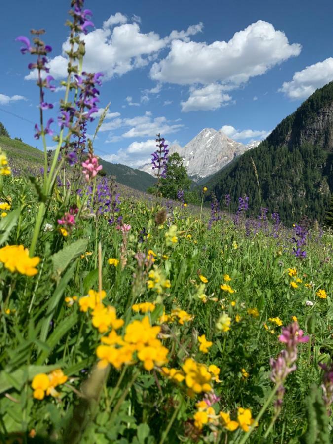 Chalet Pian Campitello di Fassa Eksteriør billede